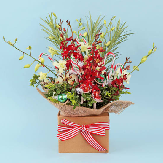 Christmas Treat Posy Box - Standard