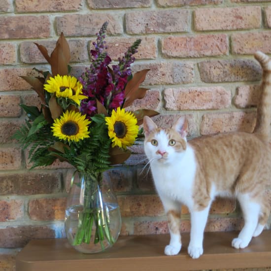 Sunny Style Bright Bouquet - Standard