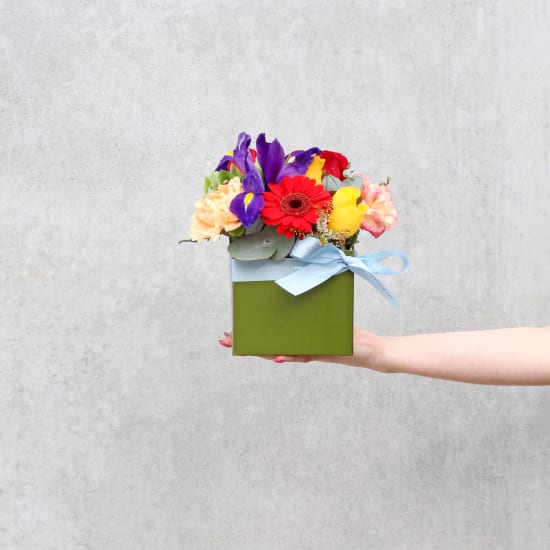 Florist Choice Mini Box - Standard