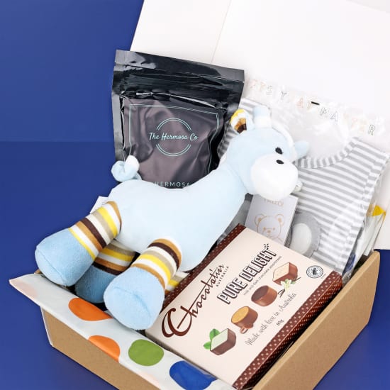 Baby Bliss Duo Baby Boy Hamper - Standard