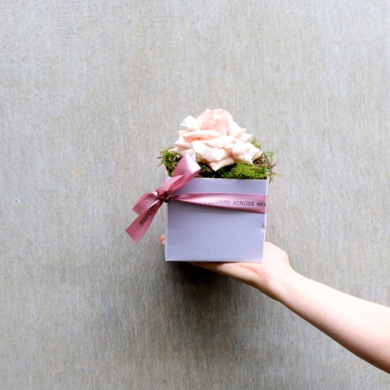 Rosie Bloom – Single Rose Mini Box Arrangement - Standard