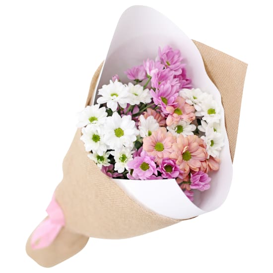 Mixed Pastels Chrysanthemum Bunch - Standard