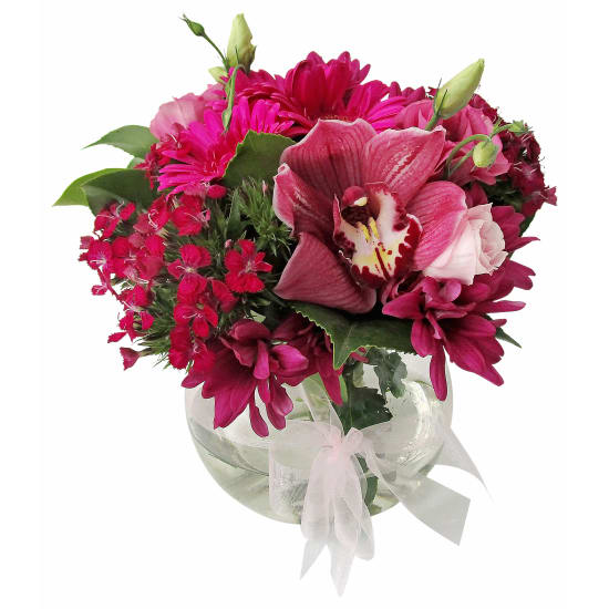 Expressive Glass Fish Bowl Arrangement - Standard