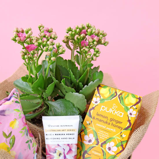 Winter Wellness Gift Boxed Hamper - Standard