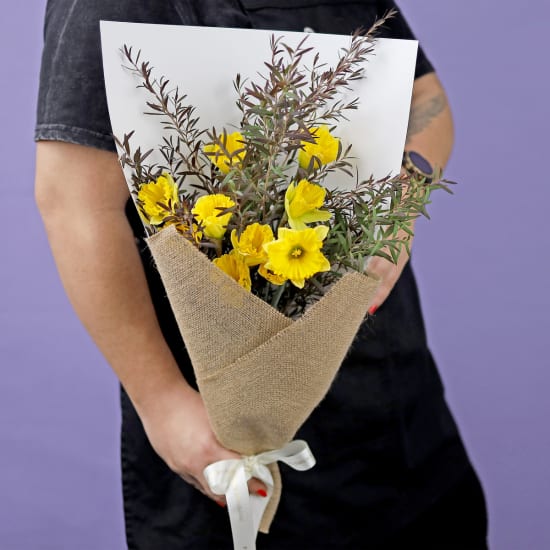 Little Daffs - Standard