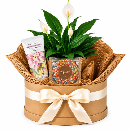 🌿💕 Peace, Pamper & Sweetness Plant Hamper 💕🌿 - Standard