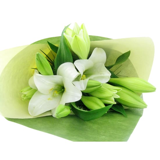 Pure Christmas - Standard