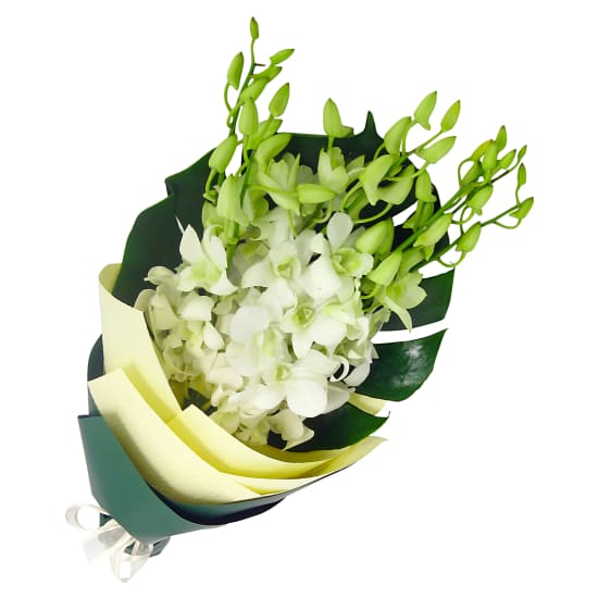 White Orchid Bunch - Standard