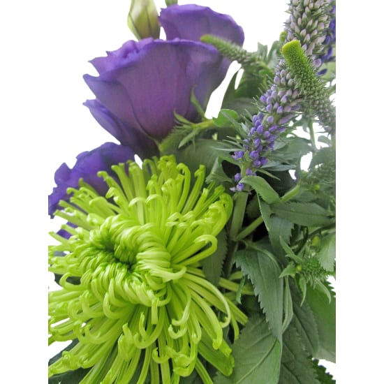 Unconventional - Standard