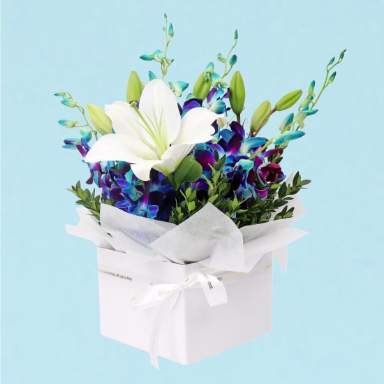 Blue Making Magic Posy Box - Premium