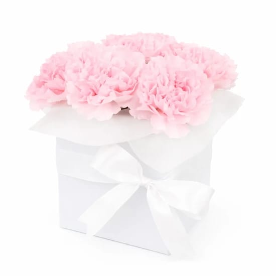 Little Carnation Flower Box – Mixed Colours - Standard