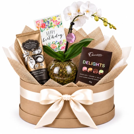 🌸🎂 Birthday Blooms & Little Luxuries Plant Hamper 🎂🌸 - Standard