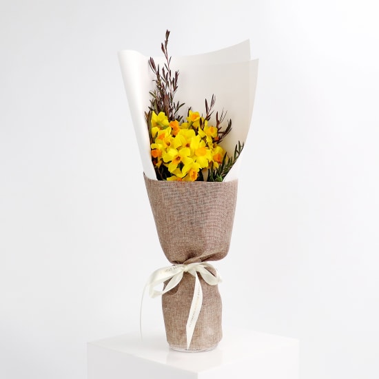 Little Jonquils - Standard