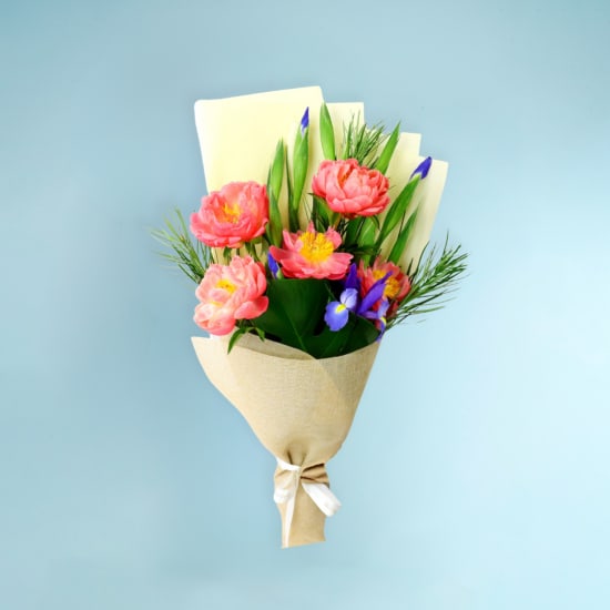 Coral And Cobalt - Standard