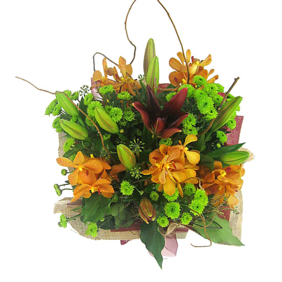 Botanique - Standard