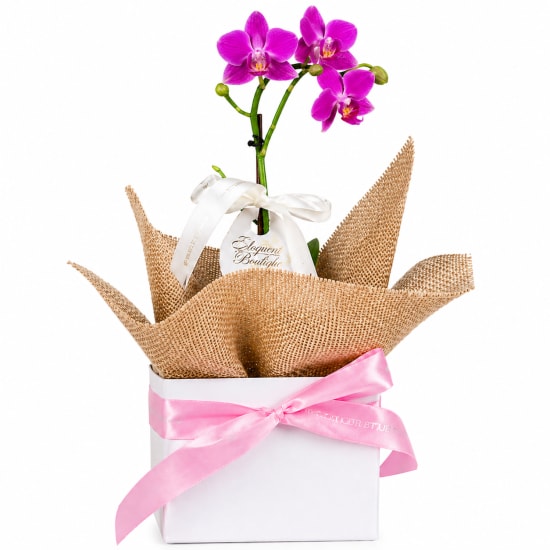 Gift Boxed Orchid Gem - Standard