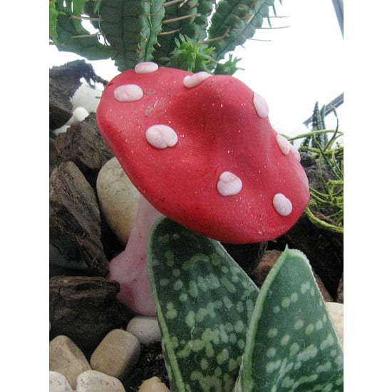 Desert Dreams Terrarium - Standard