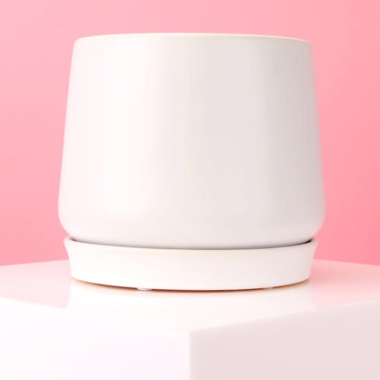 Large White Ceramic Loretto Pot - Standard