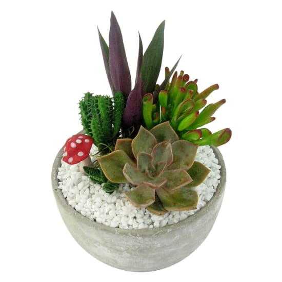 Little Oasis Planter - Standard