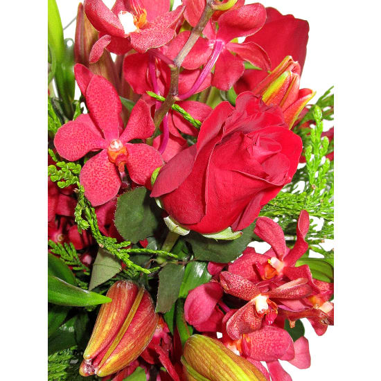 Sweet Scents Of Autumn - Standard