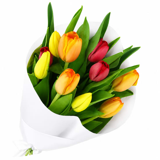 Mixed Bright Tulips Bunch - Standard