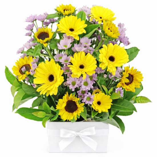 Brighter Days Flower Box - Standard