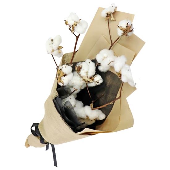 Cloud Cotton Preserved Bouquet - Standard