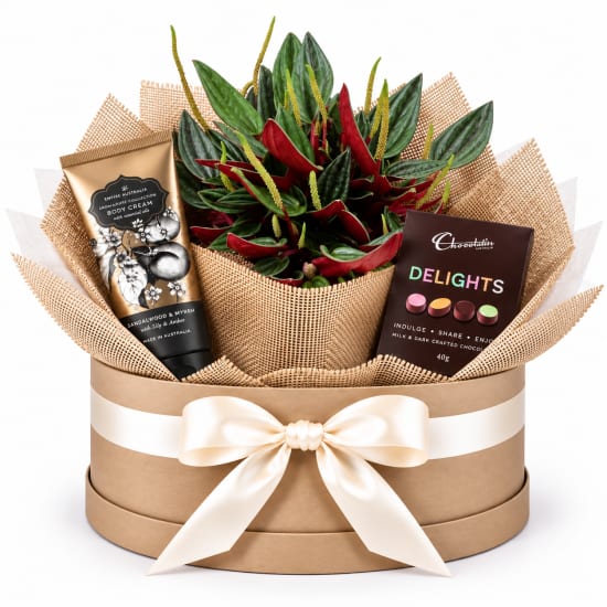🌿🌸 Peperomia Rosso Pamper & Delights Plant Hamper 🌸🌿 - Standard