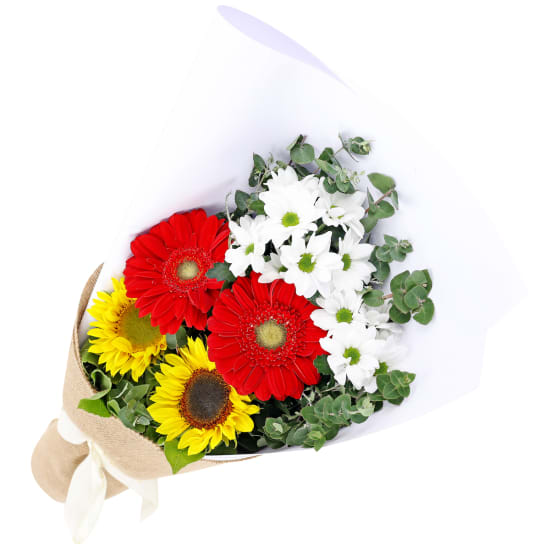 Hello There Bunch - Deluxe