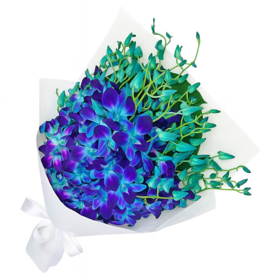 Blue Orchid Bunch - Premium