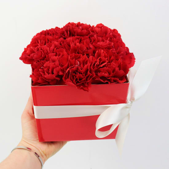 Little Carnation Flower Box   Red - Standard
