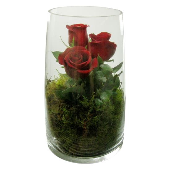 Under Your Spell Rose Glass Vase - Standard