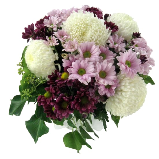 Bloomin' Beautiful - Standard