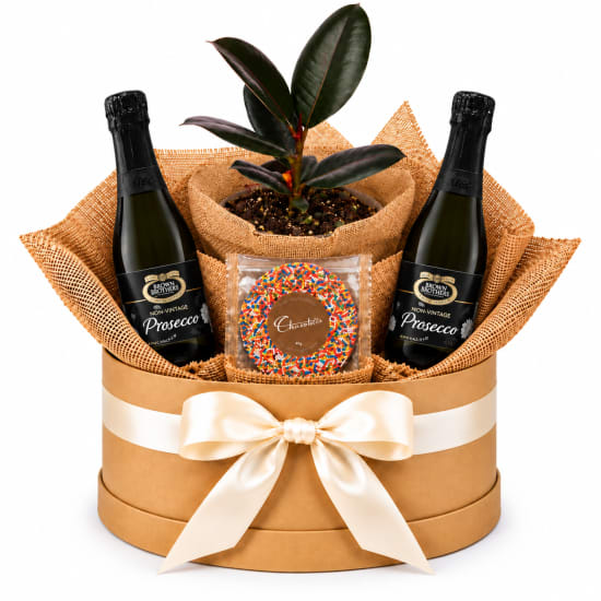 🌿🥂 Ruby Ficus & Bubbles Hamper 🥂🌿 - Standard