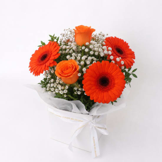 Levity Bloom Box - Standard