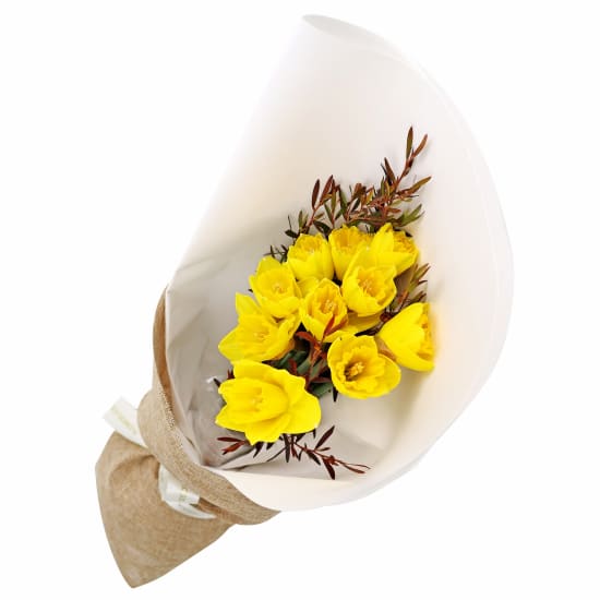 Little Daffs - Standard