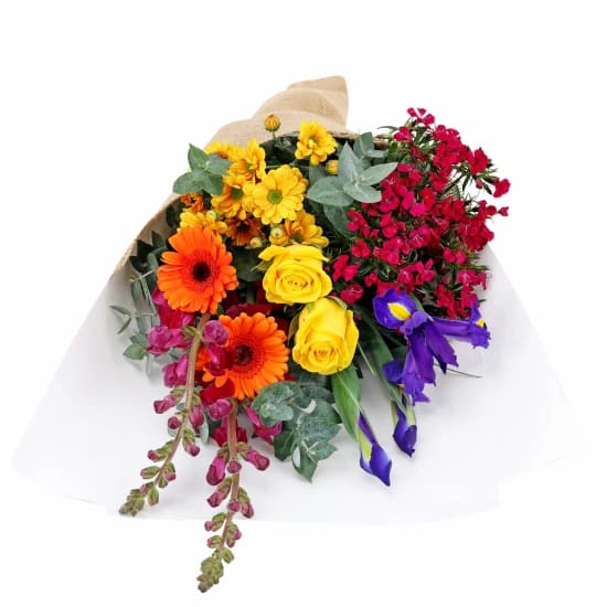 Little Bright Blooms - Deluxe