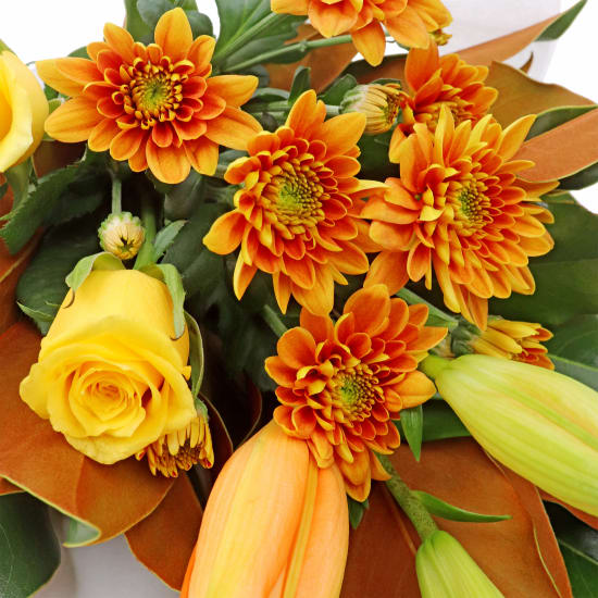 Summer Morning Bouquet  - Standard