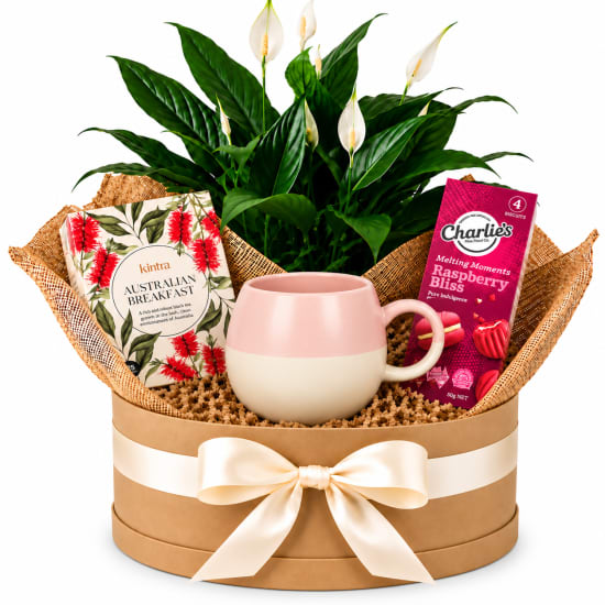 🌸🌿 Peace Lily & Pink Tea Delights Plant Hamper 🌿🌸 - Standard