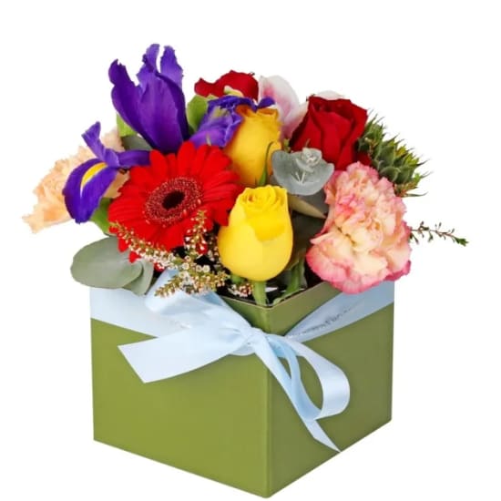 Florist Choice Mini Box - Standard