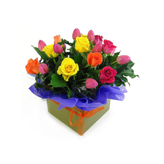Roses and Tulips - Standard