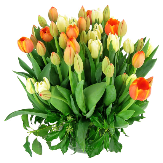 Amsterdam Glass Fish Bowl Tulip Arrangement - Standard