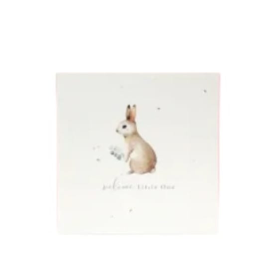 Little One Plantable Greeting Card - Standard