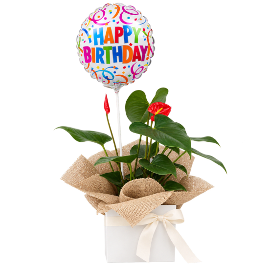 🎈🌺 Birthday Blooms & Wishes 🌺🎈 - Standard
