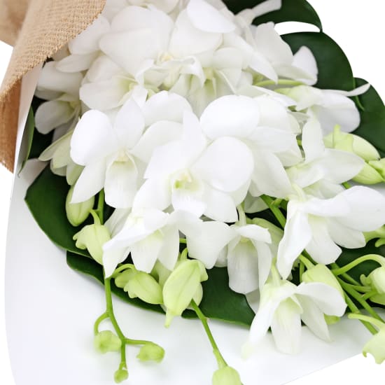 White Orchid Bunch - Standard