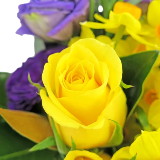 Sunshiny Day Large Mason Jar Vase - Standard