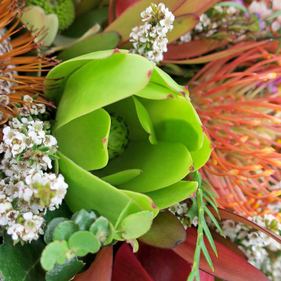 Homegrown Native Bouquet - Deluxe