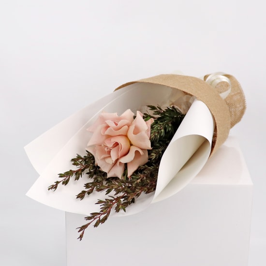 Little Graceful Gestures - Standard