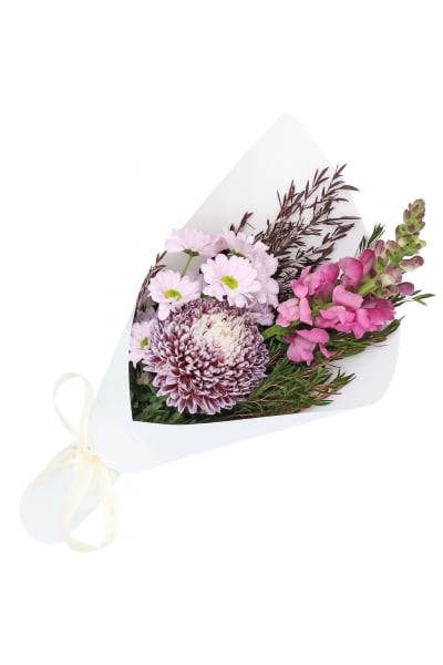 Little Lilac Fantasy