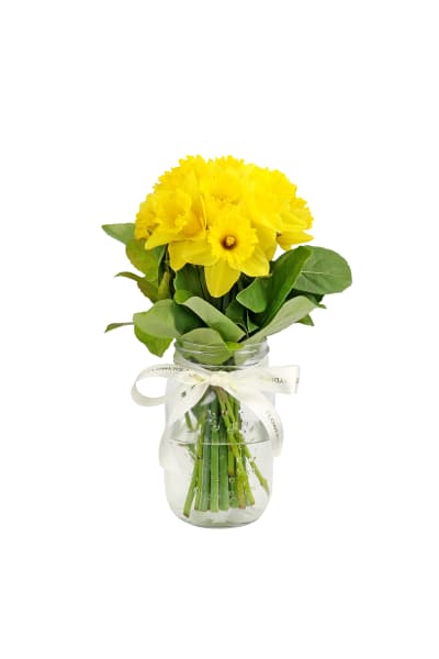 Daffodils In A Vase